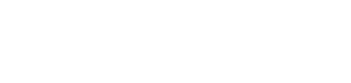 zoom 01 logo solo